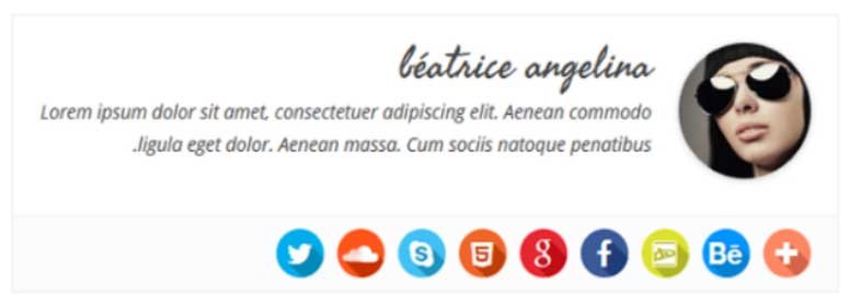 Simple author box